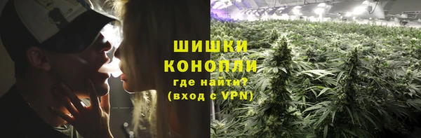 винт Аркадак