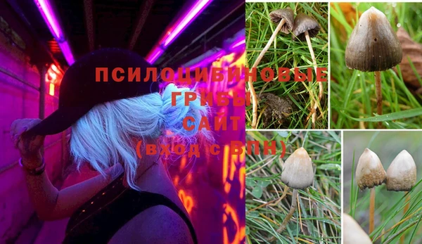 MESCALINE Покров