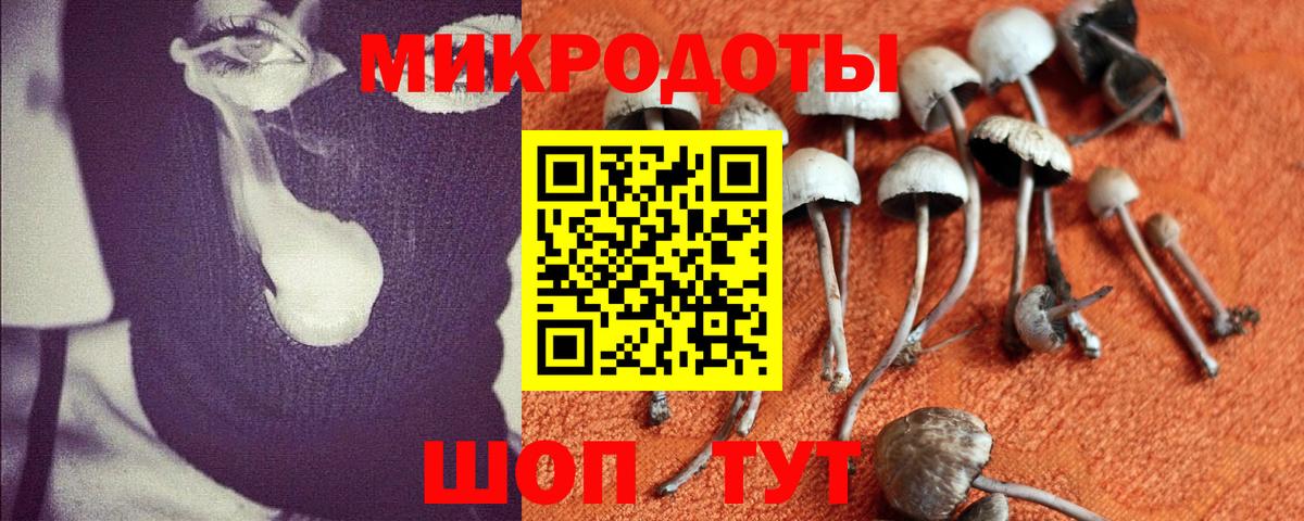Строитель  Галлюциногенные грибы Cubensis  Вход с VPN 