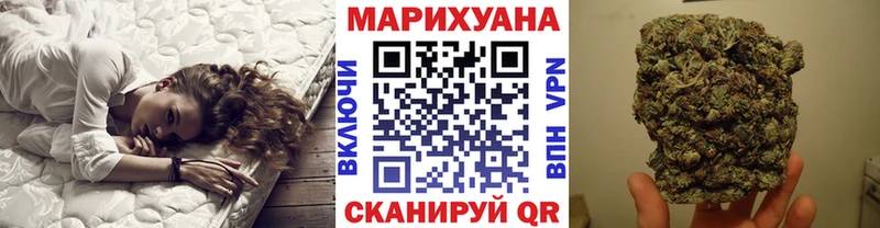 Конопля сатива  Строитель 